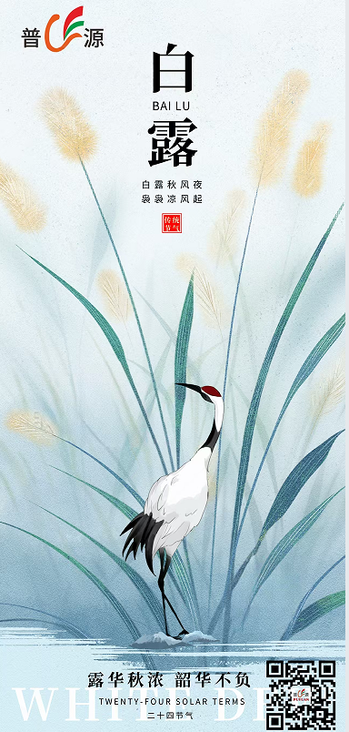 白露至，步履暖｜普源鞋业与您共赴秋日新程